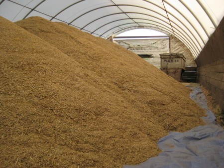 Mountain of Oats in Hoop Building