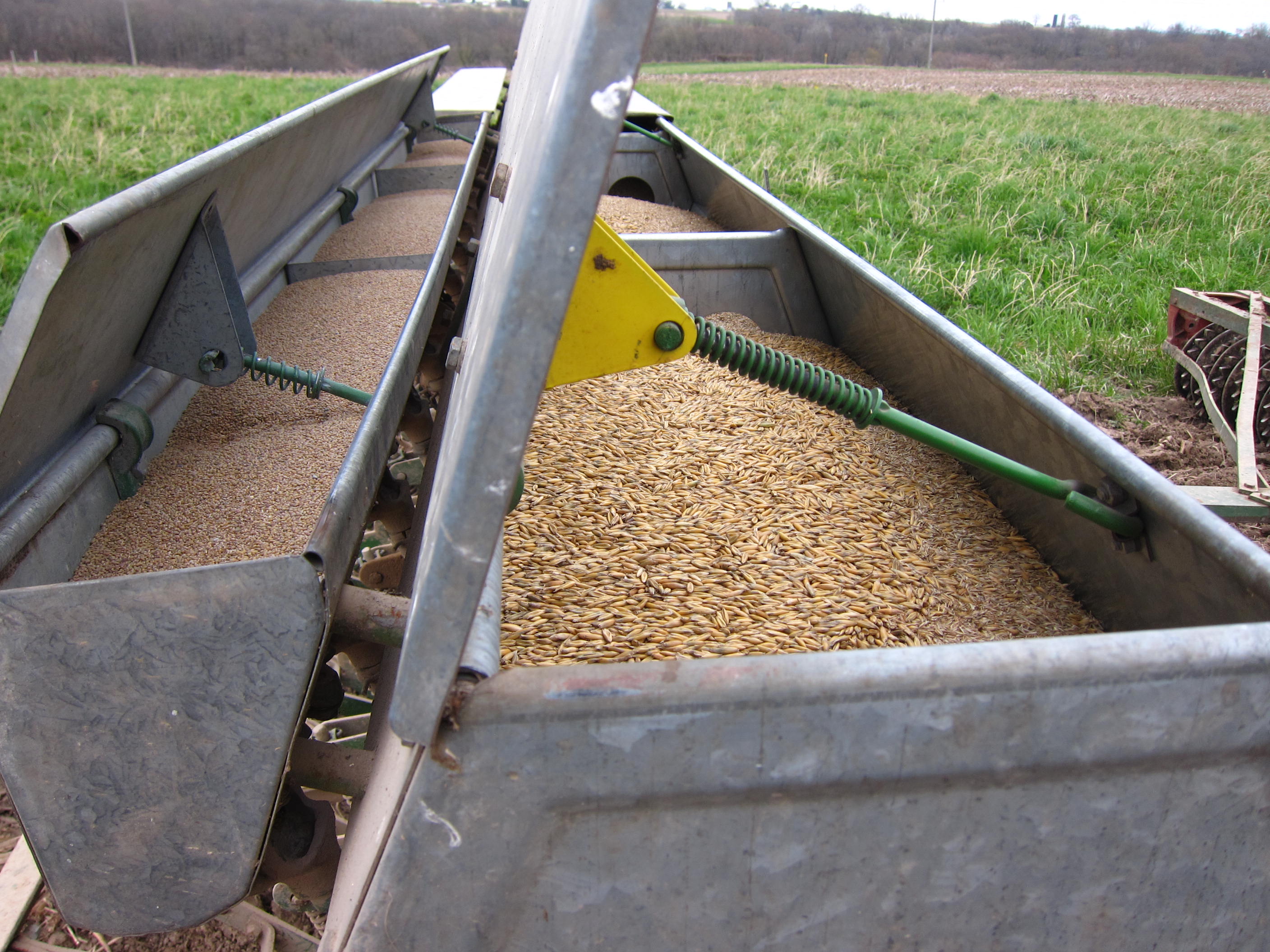 Seeding Compartments Grain Drill