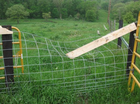 Broken Corral Fence