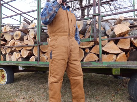 Dickies Insulated Bib Overalls