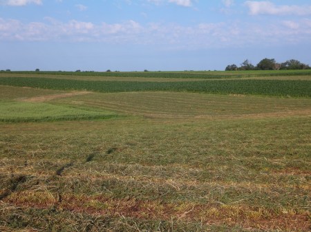 Contour Strip Cropping 2013